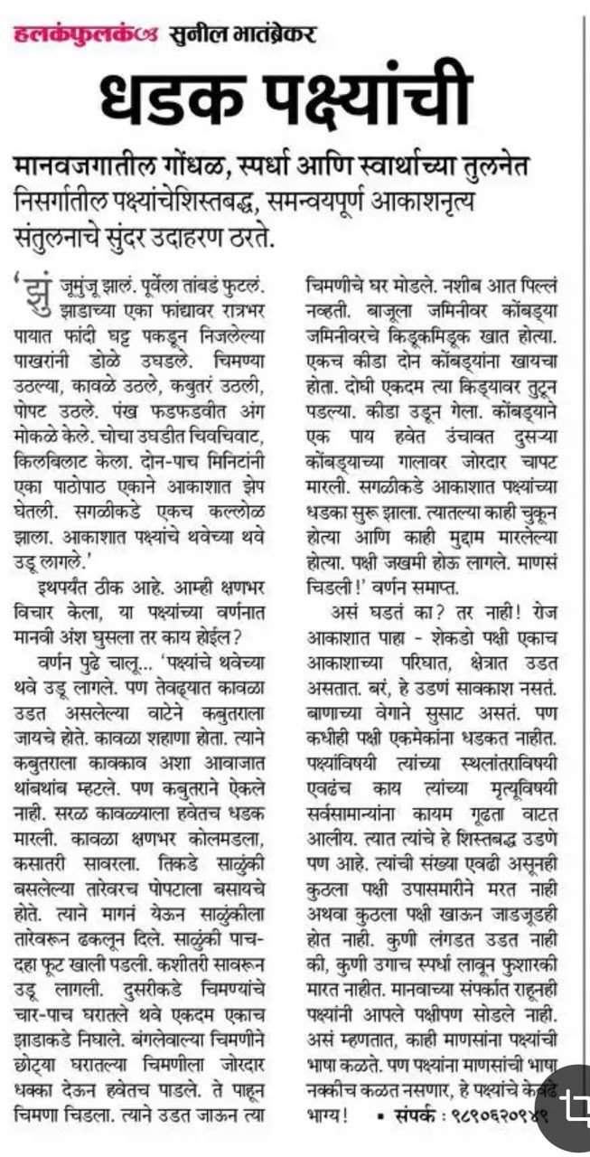 Newspaper clipping: धडक पक्ष्यांची